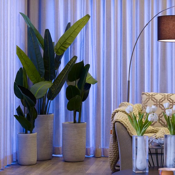 Bird of Paradise شجر صناعي أبيات Bird of Paradise شجر صناعي أبيات