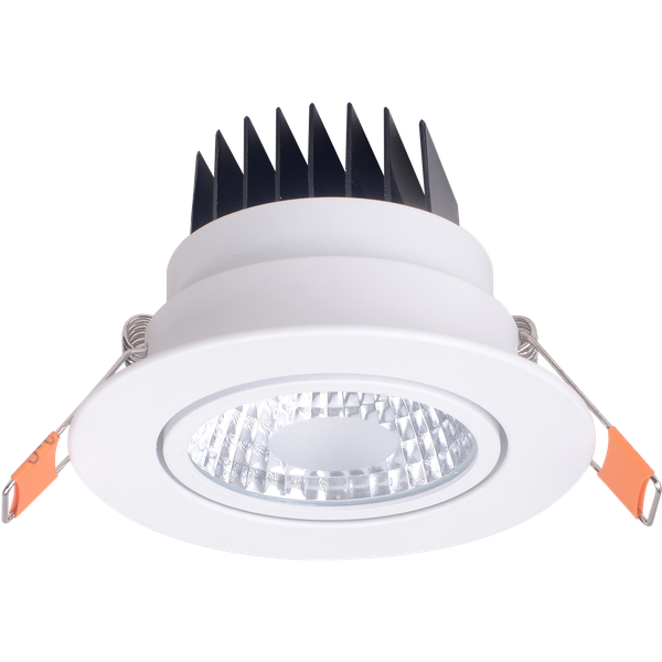 Edison LED Recessed Mount Light