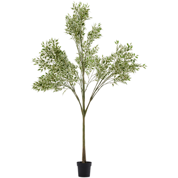 Weeping Fig Ficus شجر صناعي أبيات Weeping Fig Ficus شجر صناعي أبيات