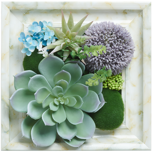 Artificl Succulent Frm