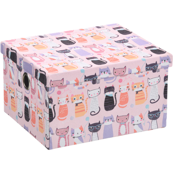 Top Cat Storage Box ABYAT