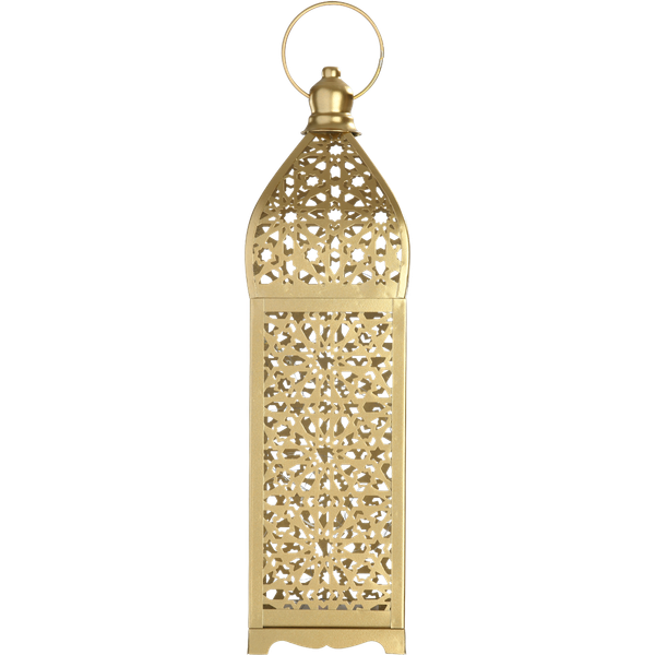 نجلا فانوس