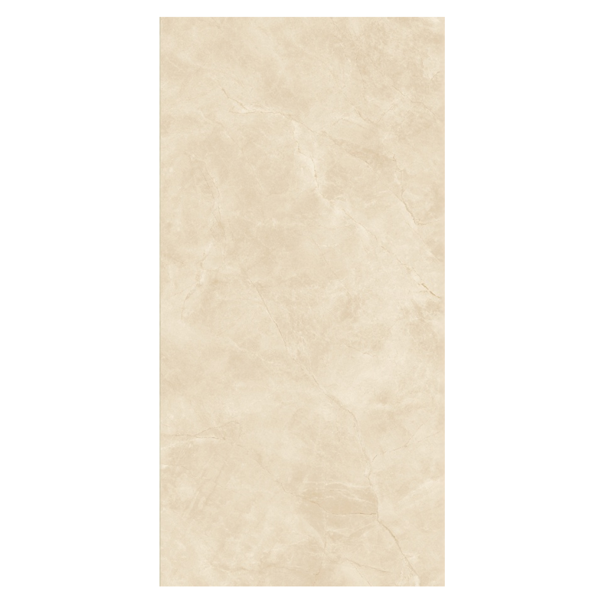 صورة 5