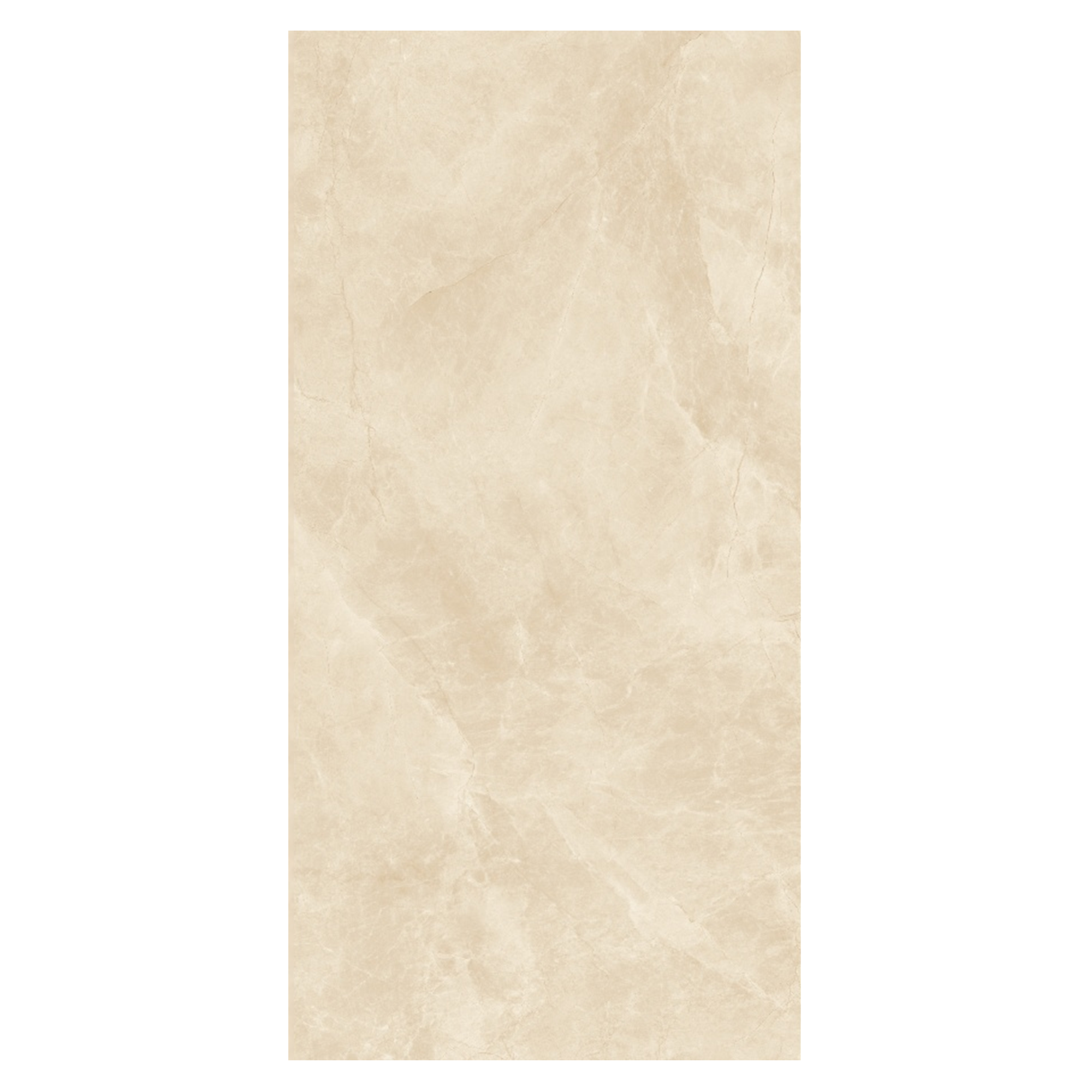 صورة 6