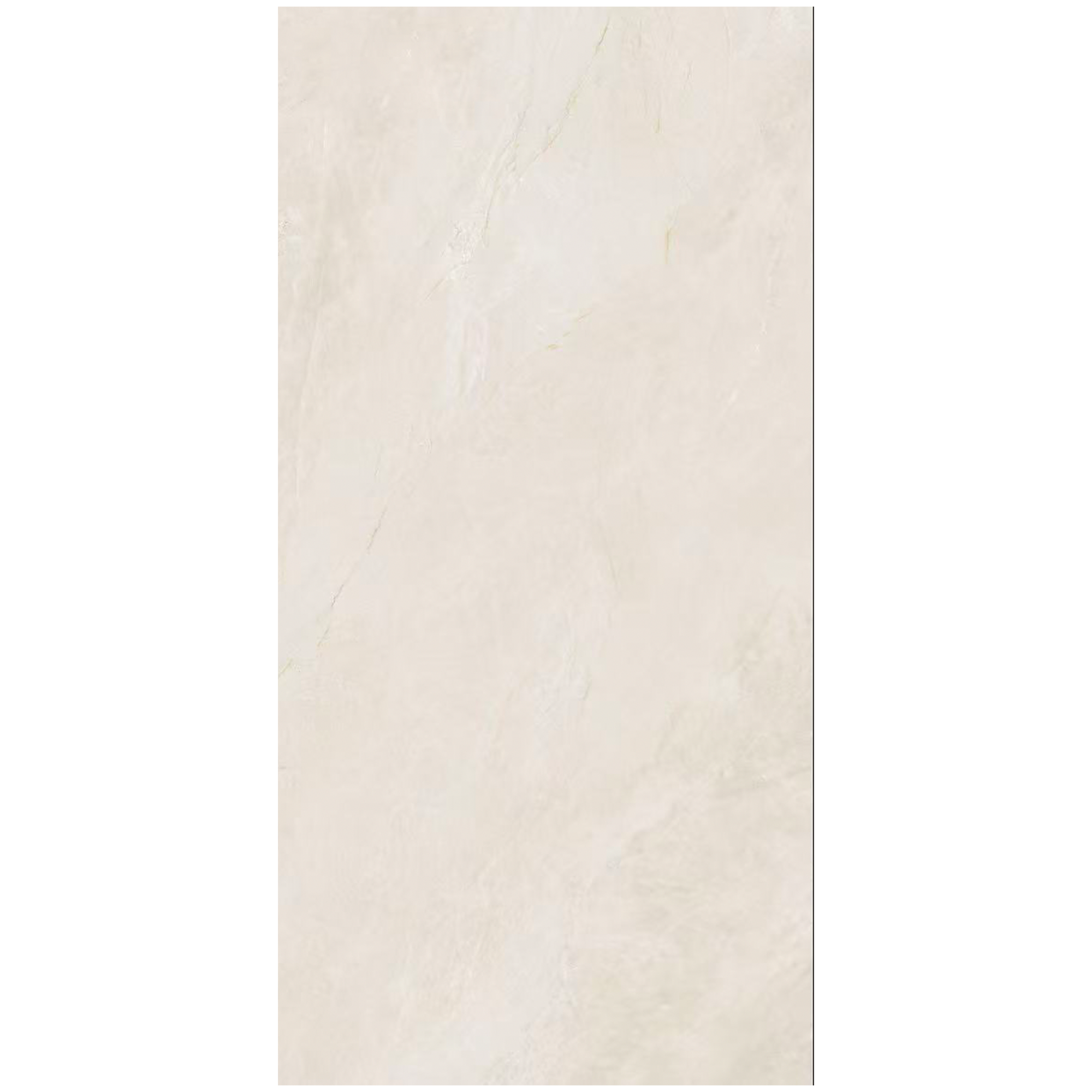 صورة 6
